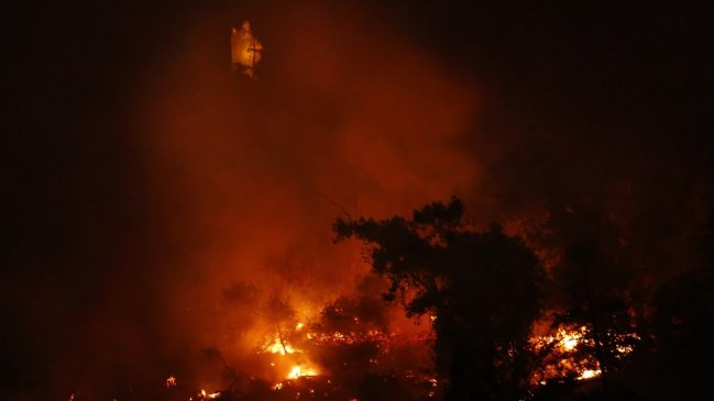 Fiscalía investiga intencionalidad en incendio del Cerro San Cristóbal