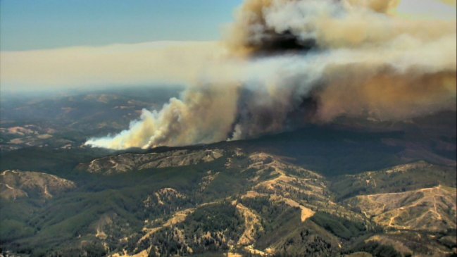 Declaran alerta roja por incendio forestal en sector El Calvario en Paredones