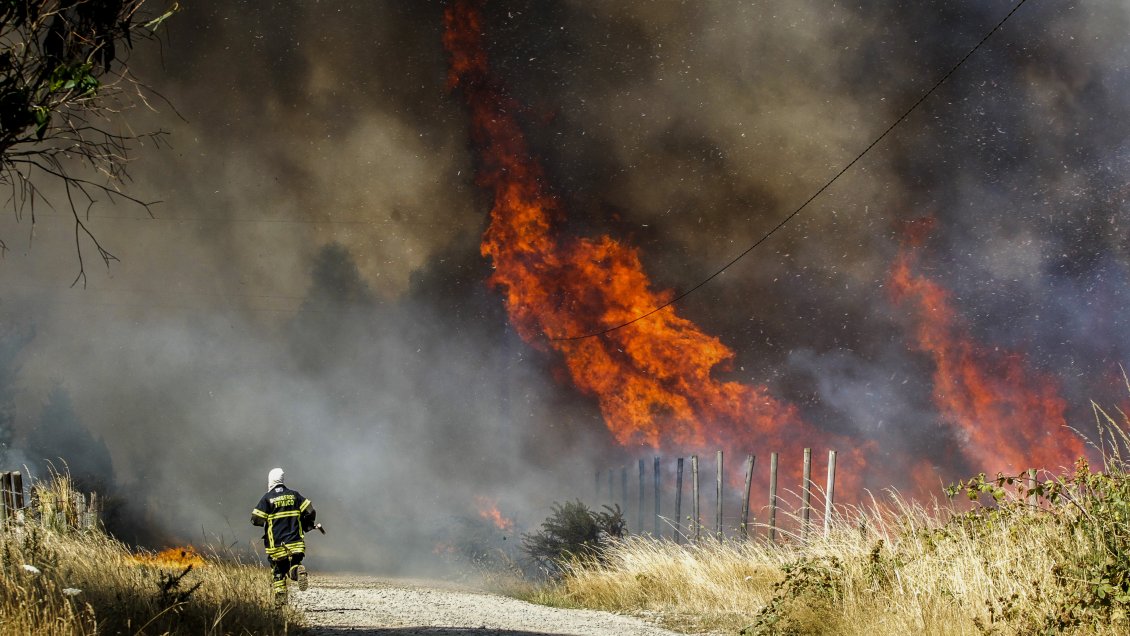 Justicia express: Joven fue condenado hoy por un incendio que provocó ayer