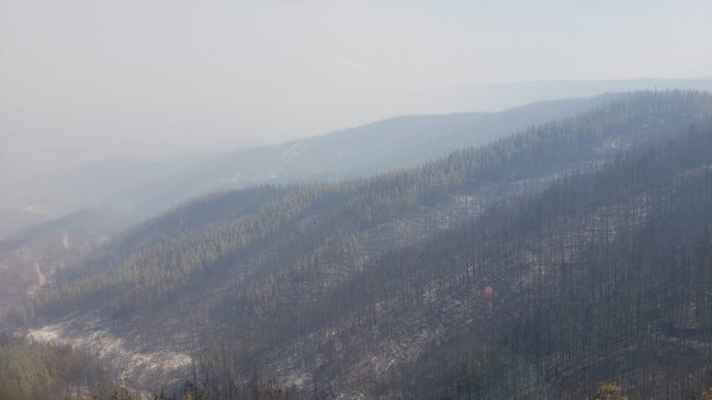 Incendio forestal en Paredones ha consumido más de 900 hectáreas