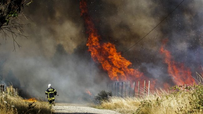 Justicia express: Joven fue condenado hoy por un incendio que provocó ayer