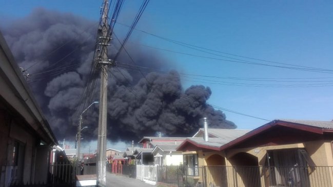 Incendio afecta a empresa de acopio de neumáticos en Talcahuano
