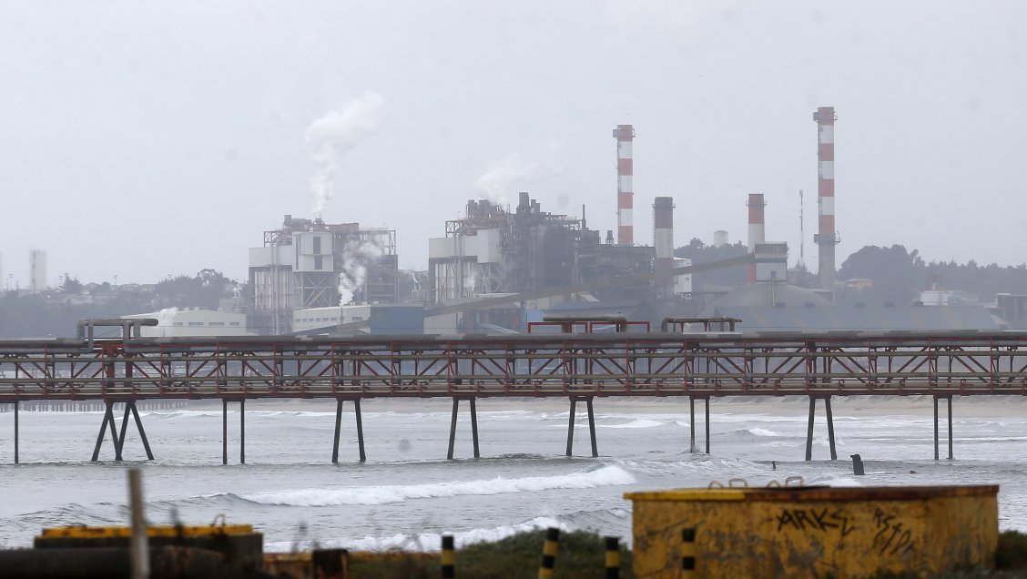 Superintendencia recibió más de 1.700 denuncias por crisis ambiental en Quintero