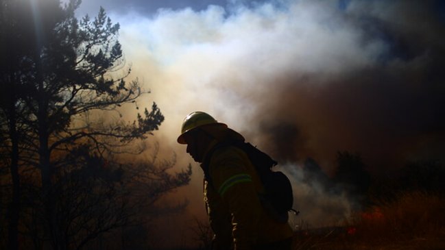 Más de 1.200 hectáreas destruidas: Continúa alerta roja por incendio forestal en Paredones
