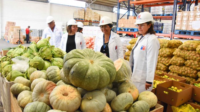 Preparaciones aymara llegarán a colegios rurales de Arica y Parinacota