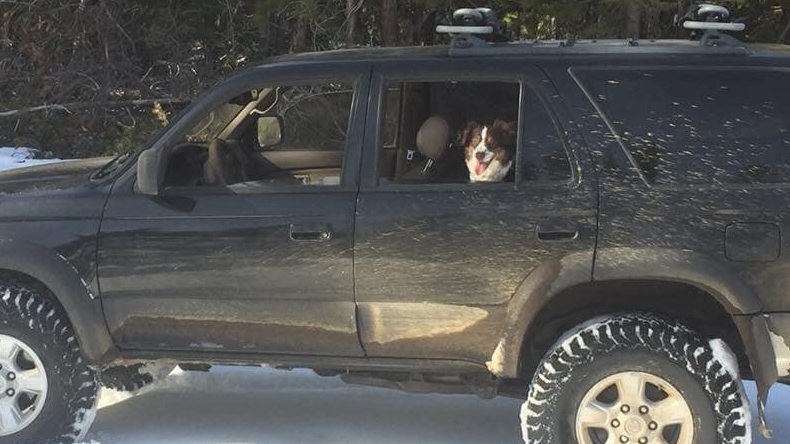 Hombre y su perro sobrevivieron en la nieve comiendo sachets de salsas