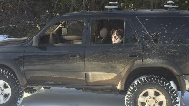 Hombre y su perro sobrevivieron en la nieve comiendo sachets de salsas