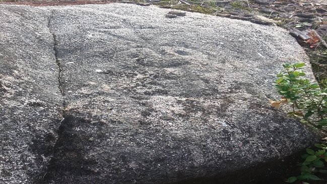 Preocupación por daños a desconocidos petroglifos de Hualqui, los más australes de Chile