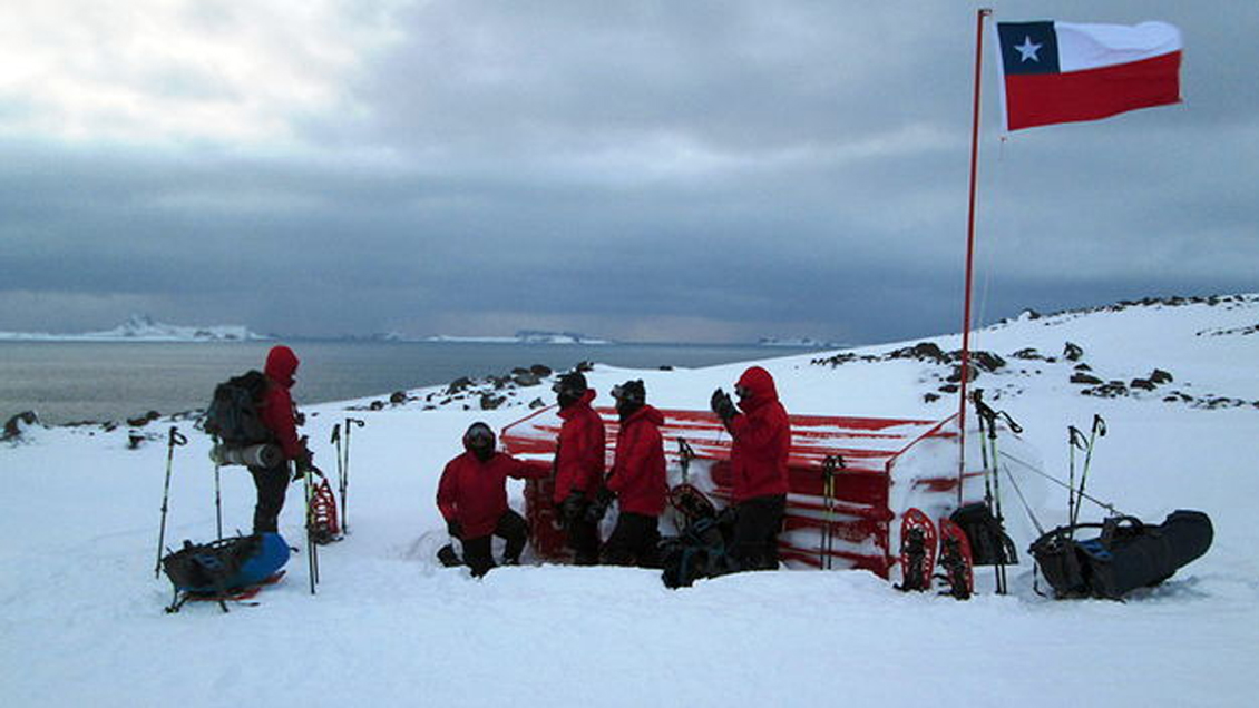 La actividad humana perturba gran parte del área sin hielo de la Antártida