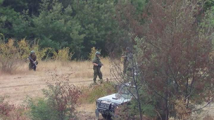 Tres detenidos dejó desalojo de fundo en Collipulli