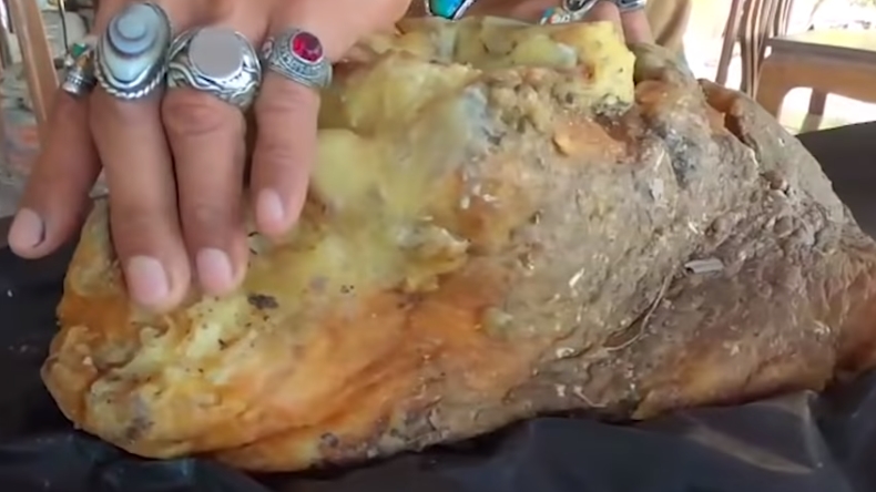 Dueño de un bar encontró el vómito de una ballena que puede valer una fortuna