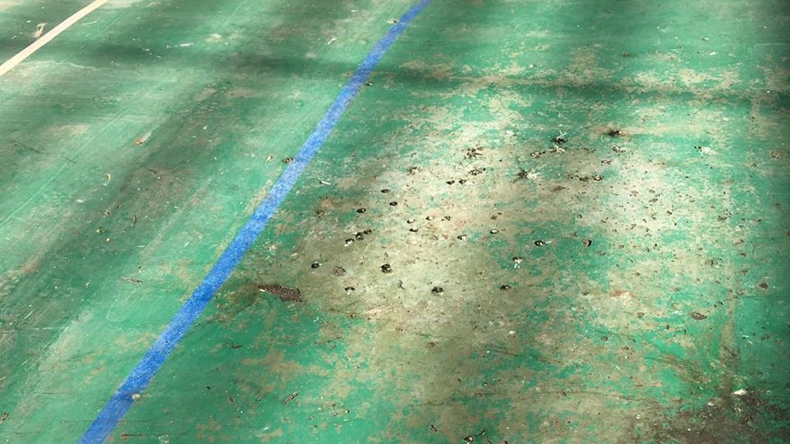 Fecas de ratones obligaron a suspender las clases en escuela municipal de Maipú