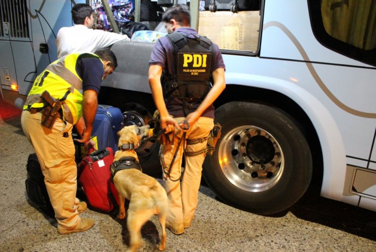Ñuble: Cinco personas fueron detenidas portando drogas en fiscalizaciones a buses