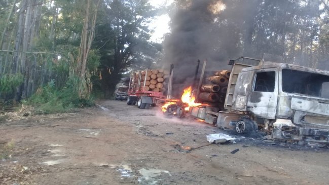 Contratistas forestales piden 