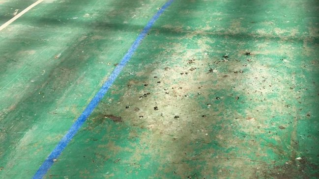 Fecas de ratones obligaron a suspender las clases en escuela municipal de Maipú