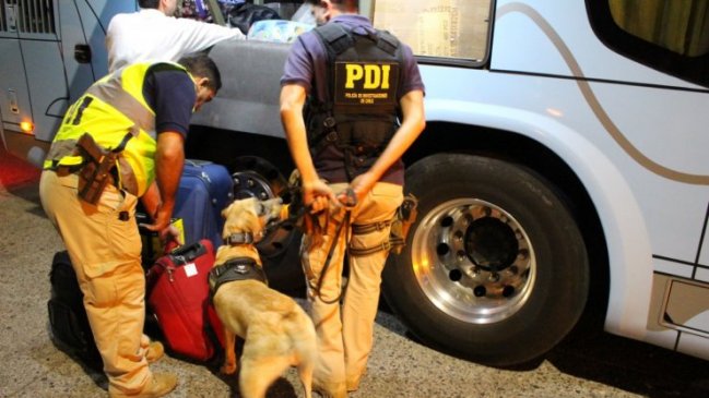 Ñuble: Cinco personas fueron detenidas portando drogas en fiscalizaciones a buses