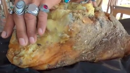Encontró el vómito de una ballena que puede valer una fortuna