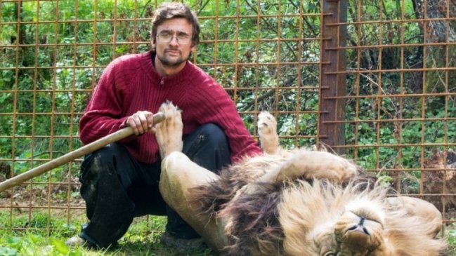  Hombre murió por ataque de león al que crió en su casa  