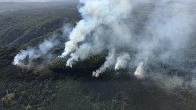 Fiscalía y Carabineros revisan avances de investigaciones por incendios forestales en Ñuble