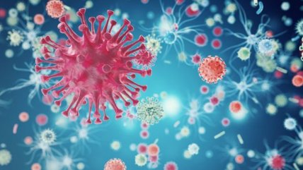   ¿Cómo se logró eliminar por segunda vez el VIH en un paciente? 