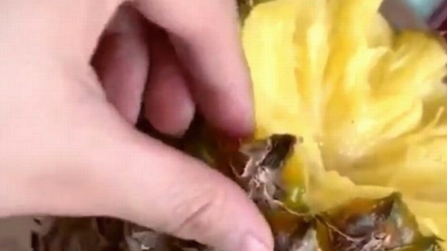 ¿Siempre lo hicimos mal? Revelan método distinto de comer piña que se hizo viral