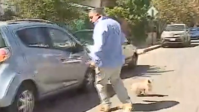 Jauría de perros atacó a Willy Sabor en vivo y le dejó un recuerdo