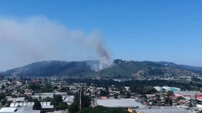Controlaron incendio forestal que consumió cuatro hectáreas de cerro en Temuco