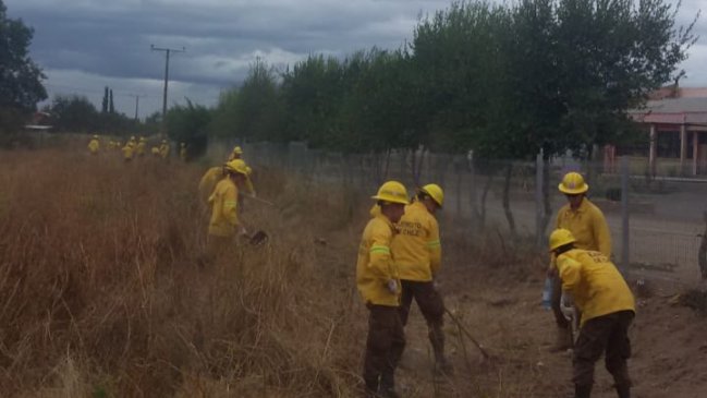 Más de 520 kilómetros de cortafuegos se han construido en Ñuble esta temporada