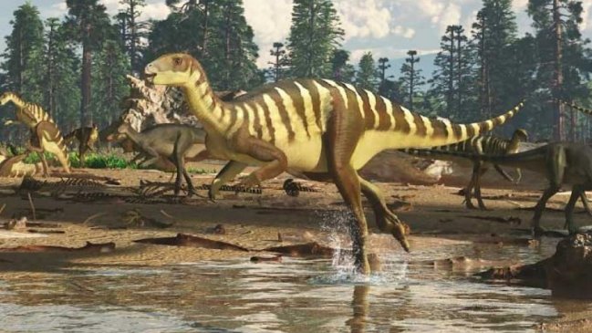 Descubren nuevo dinosaurio en Australia: Era más pequeño que un canguro