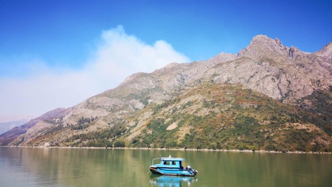 Maule: Denuncian abandono total de autoridades en incendio forestal