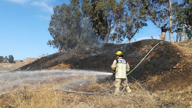 Carabineros detiene a dos mujeres por generar incendio forestal en San Antonio
