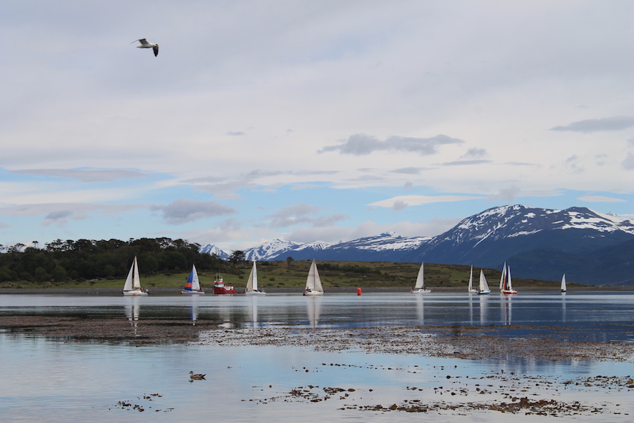Municipio de Cabo de Hornos acordó oponerse a la instalación de salmoneras