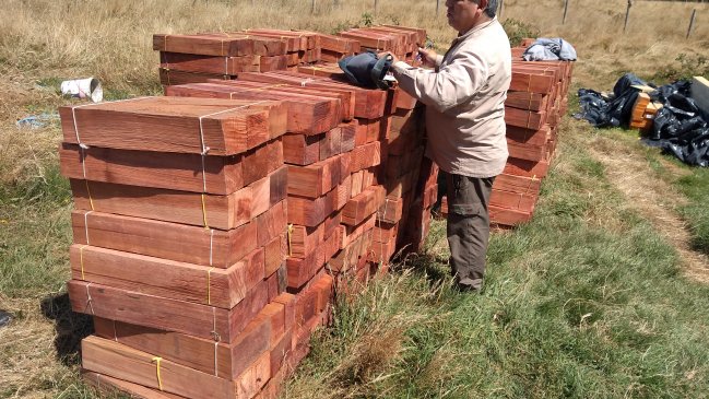 Conaf incautó 25 mil tejuelas de alerce en Puerto Varas y Frutillar