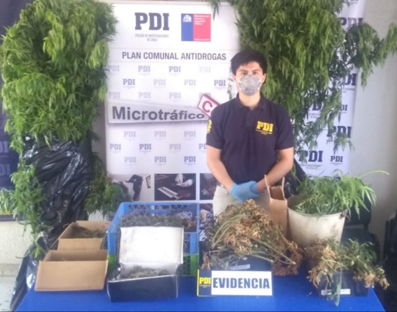 PDI incautó droga avaluada en 16 millones de pesos en Lautaro