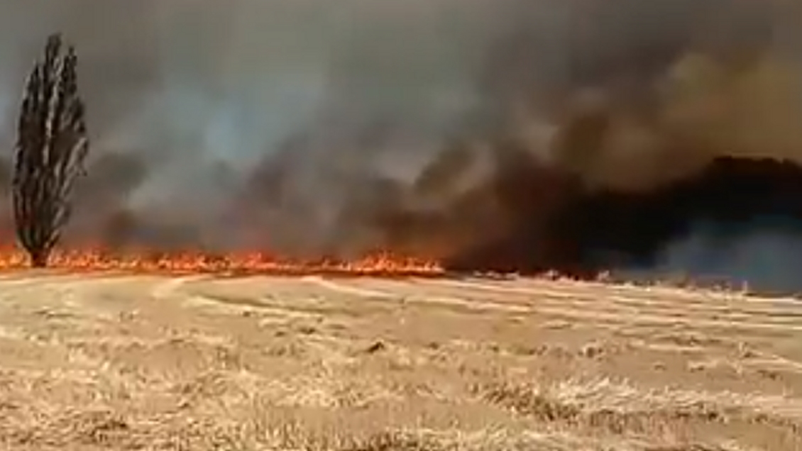 Agricultores denunciaron a comuneros por iniciar incendio en fundo de Victoria