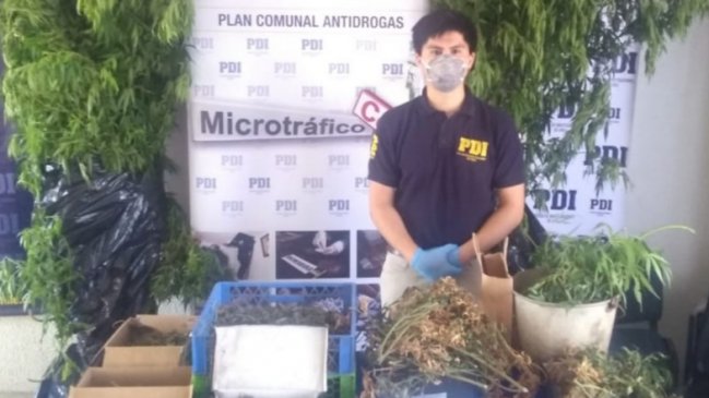 PDI incautó droga avaluada en 16 millones de pesos en Lautaro