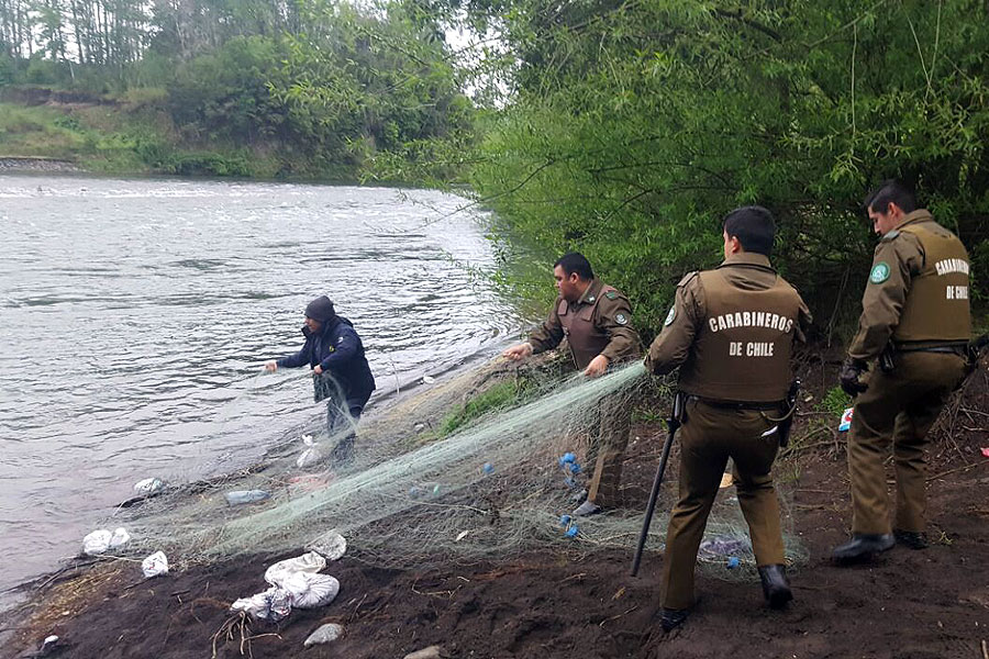 Desbaratan campamento de pescadores ilegales en La Araucanía