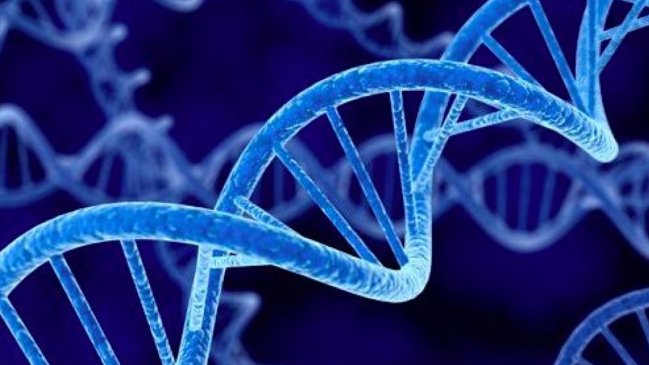 OMS considera irresponsable que se edite el genoma humano