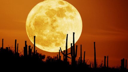   ¿Cómo influye el equinoccio de otoño en los signos zodiacales? 