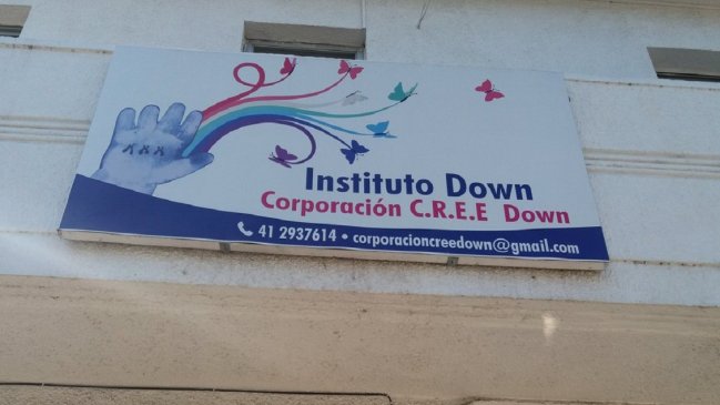 Gobierno comprometió ayuda para instalación definitiva del Instituto Down de Concepción