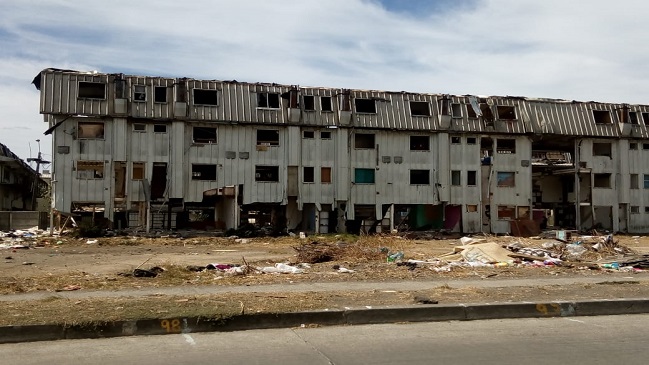Biobío: Ratones y murciélagos acechan a familias que viven junto a bloques de lata