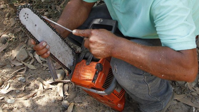 Hombre sorprendido hurtando madera atacó a Carabineros con una motosierra