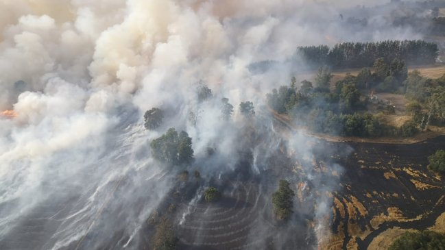 La Araucanía: Dos casas resultaron afectadas por incendio forestal en Vilcún