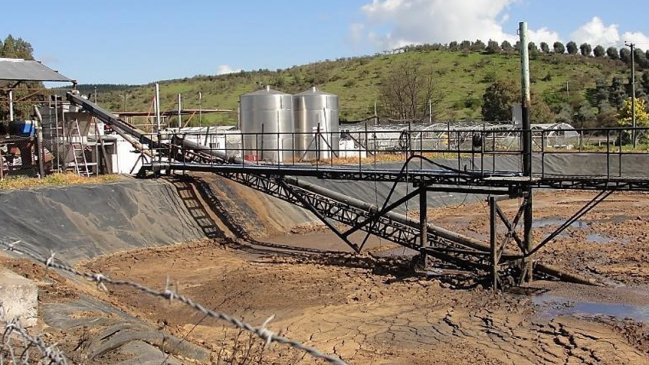 Planta de aceite recibió multa mediambiental de 1.111 millones de pesos