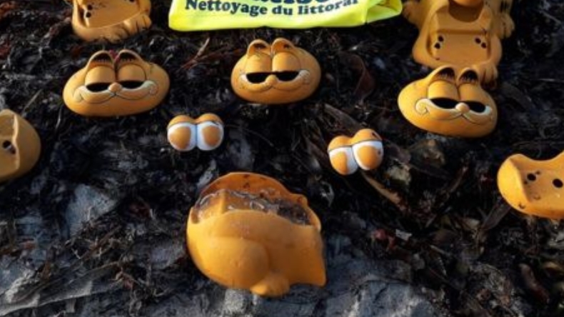 Se resolvió finalmente el misterio de los teléfonos Garfield en la playa