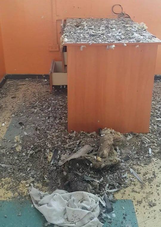 Imagen foto_00000003