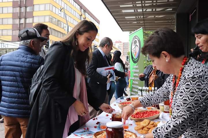 Todo listo para la Fiesta de la Mosqueta Cordillerana que se realizará este domingo en Melipeuco