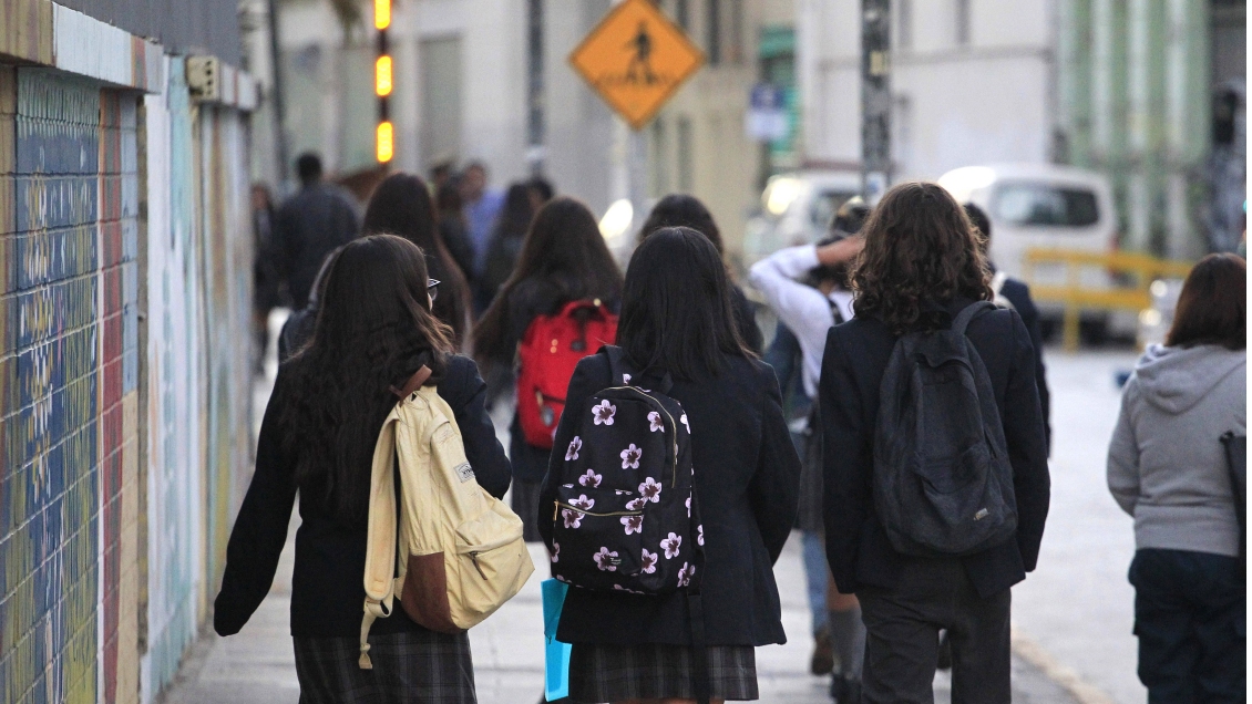 Colegios municipales de Recoleta impartirán clases de Mapudungún