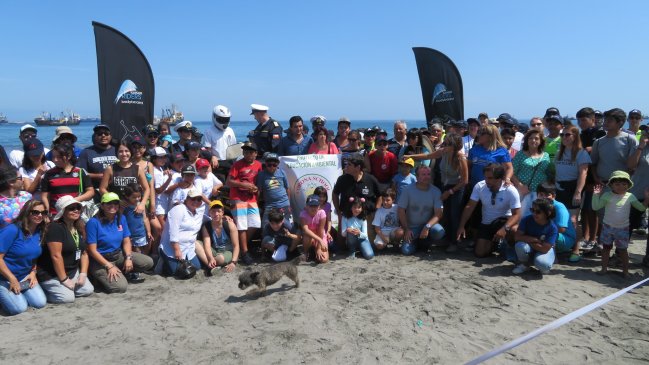 Retiran tres toneladas de basura de playa El Colorado
