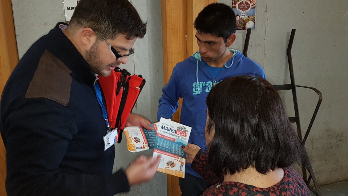 Chiloé: Seremi de Salud entrega recomendaciones sobre venta y consumo seguro de mariscos